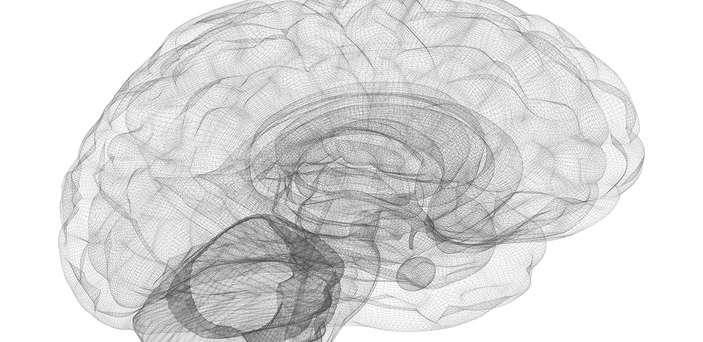 Study Uncovers Role for Cerebellum in Cognitive Defects in Schizophrenia

