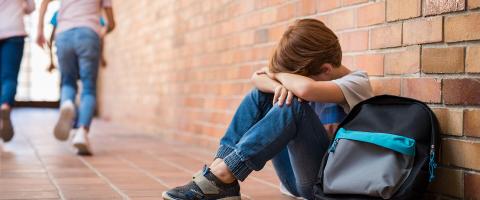 A School-Based Intervention to Reduce Bullying and the Psychological Harm It Causes