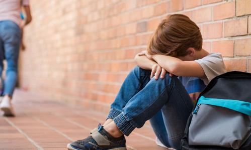 A School-Based Intervention to Reduce Bullying and the Psychological Harm It Causes